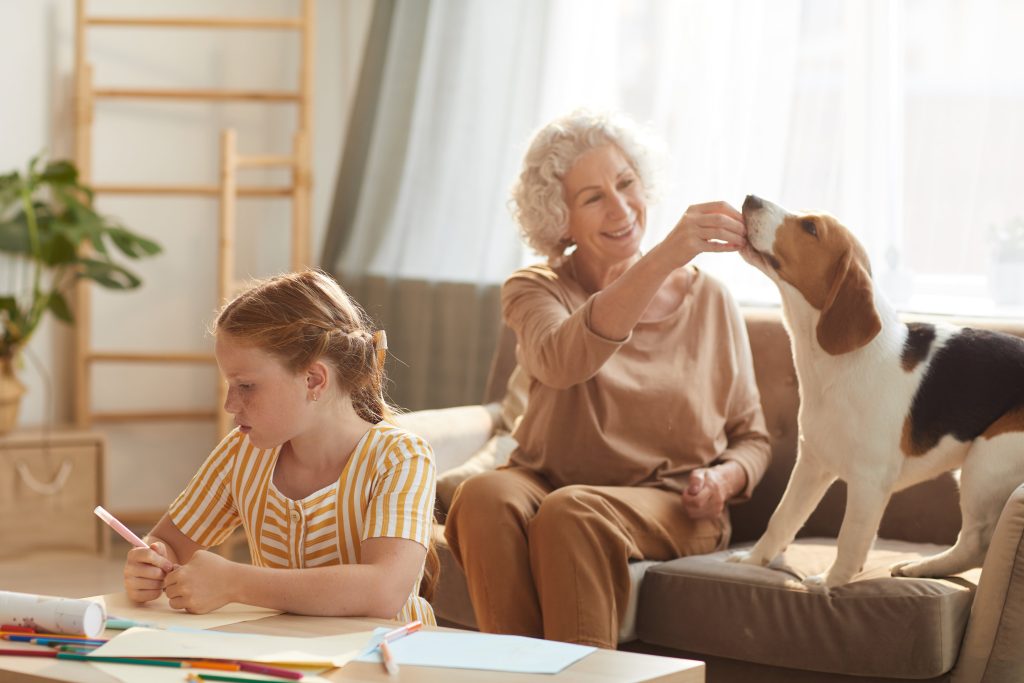 Image of warm family scene with dog for Carrig Energy Consultancy home page.